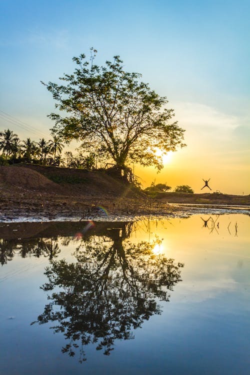 Person, Die Im Grünen Feld Springt, Das See Und Bäume Während Des Sonnenaufgangs Betrachtet