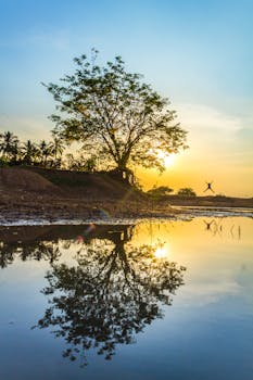 日落时分，湖面倒映着树木，风景优美，天空充满活力，一片宁静