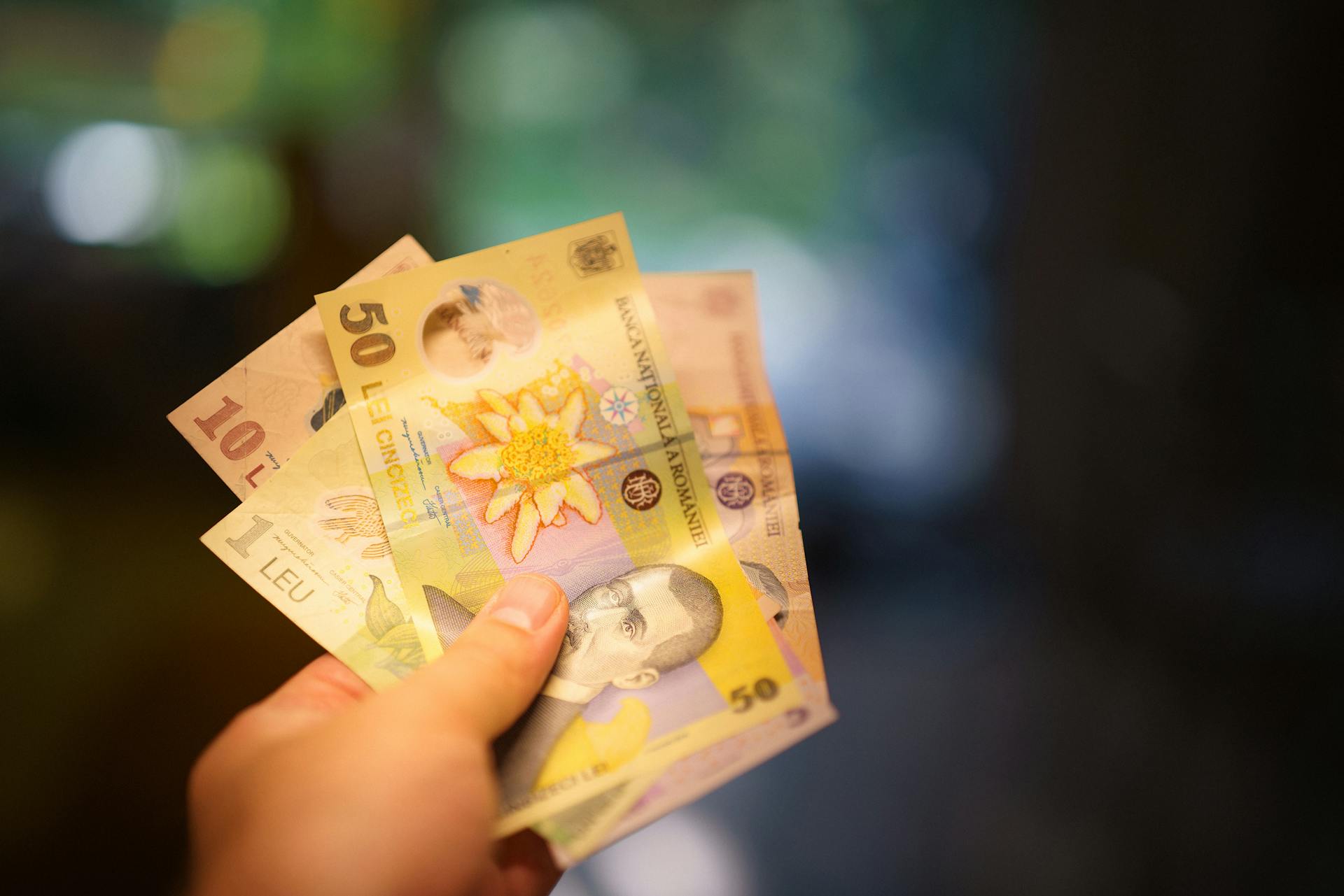 Close-up of Hand Holding Romanian Lei Banknotes