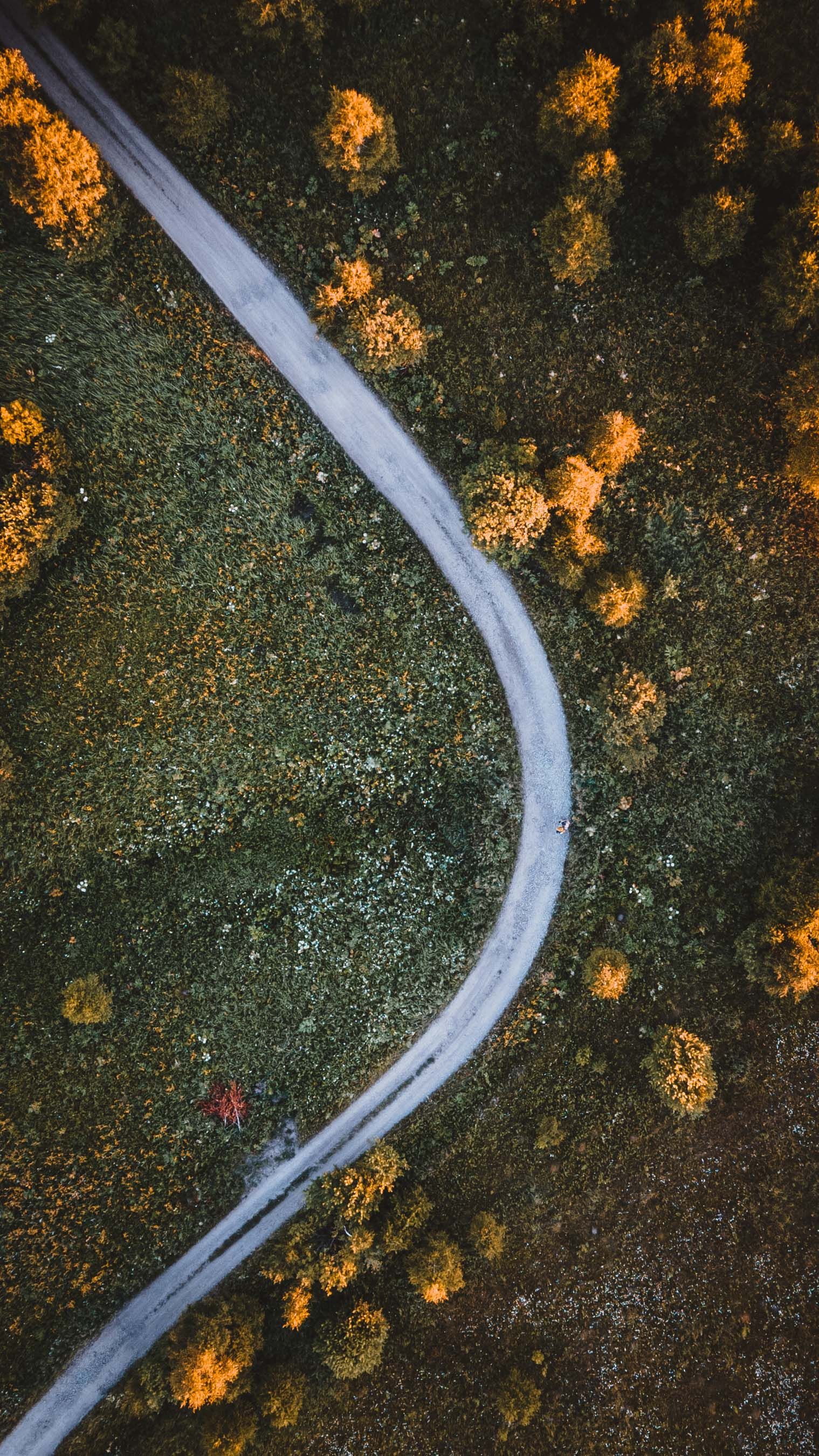 Stunning aerial view of a winding road through a mountain forest in early autumn, showcasing fall colors.