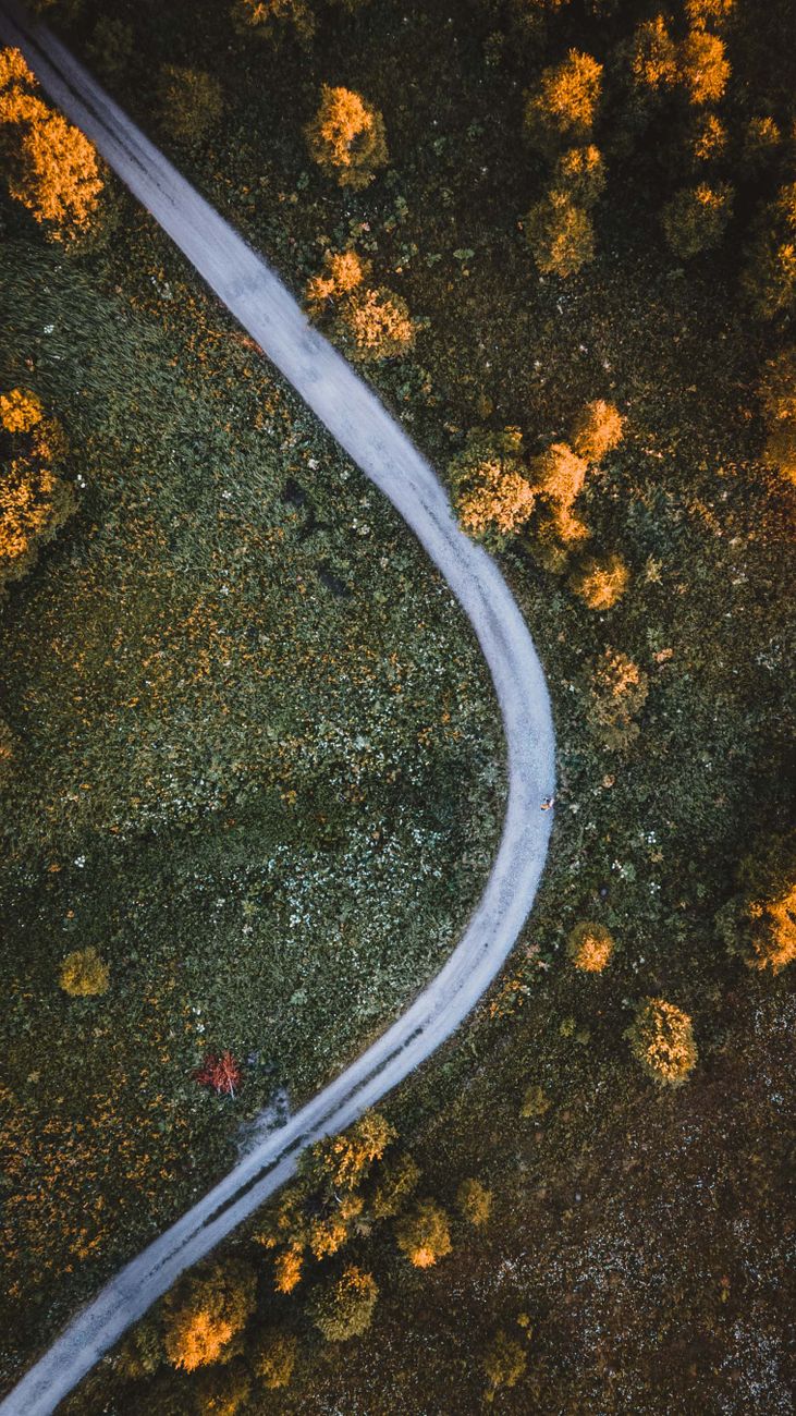Stunning aerial view of a winding road through a mountain forest in early autumn, showcasing fall colors.