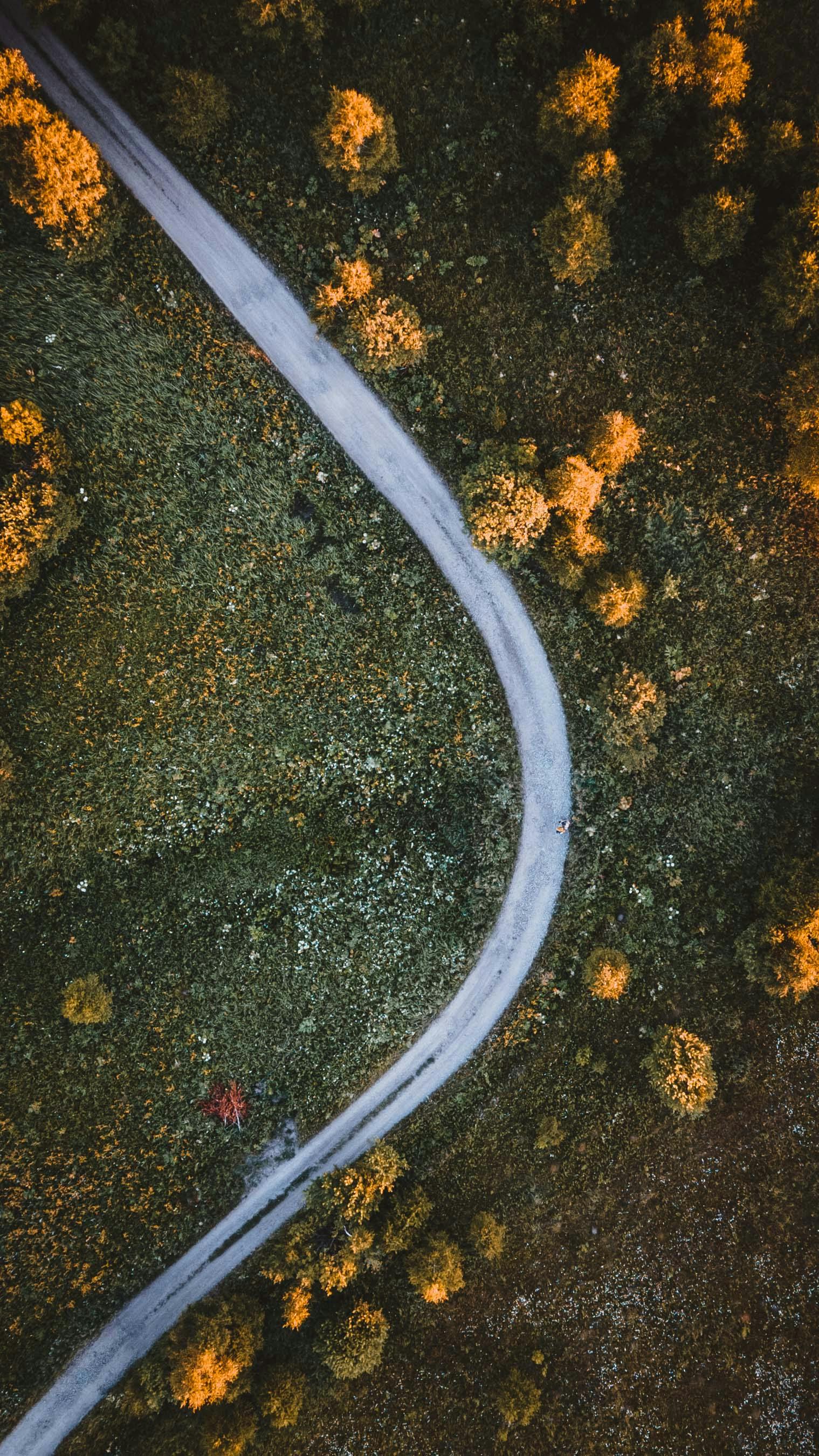 ingyenes Út Az Erdőn Keresztül Stockfotó