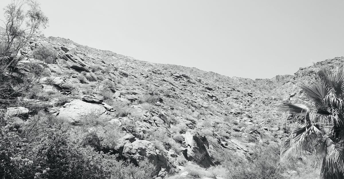 Free stock photo of desert, gate, mountain