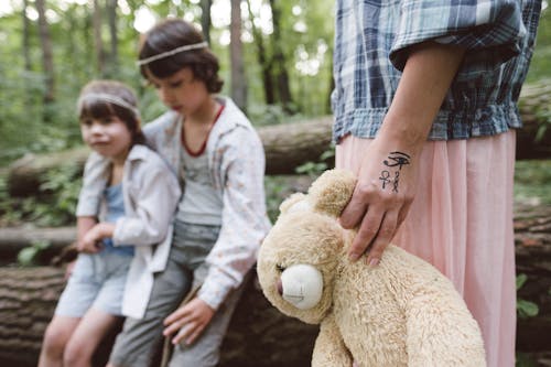 Person Holding Beige Bear Plush Toy