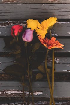 质朴的木制背景上，色彩缤纷的花朵排列，唤起一丝自然之美