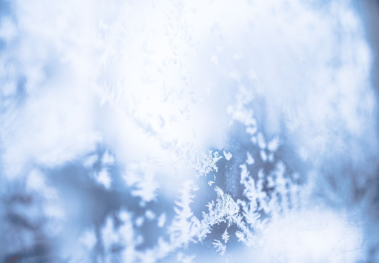 delicate frost patterns on a window create a serene winter scene captu