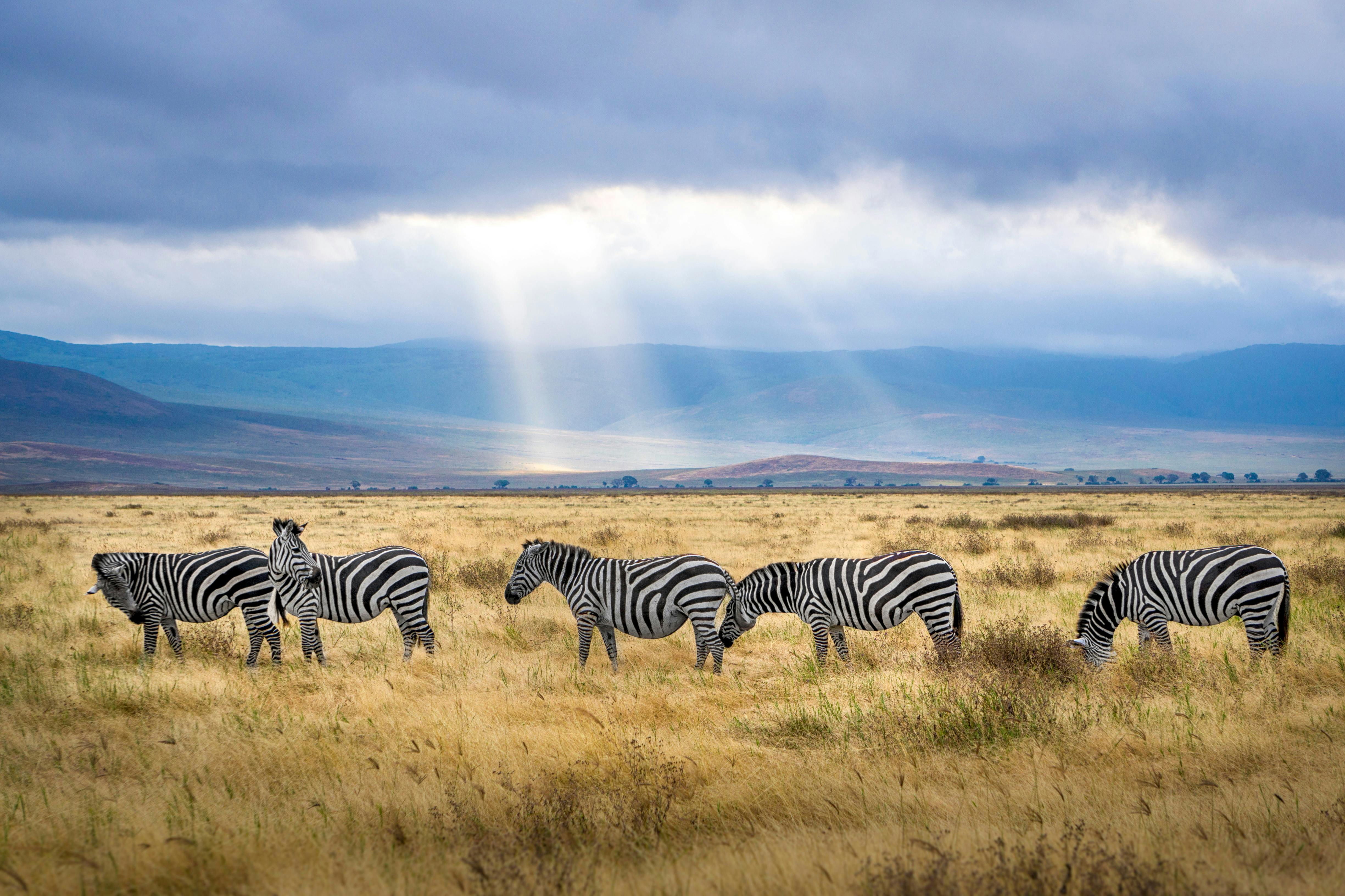 Itinerary Tanzania,Kenya