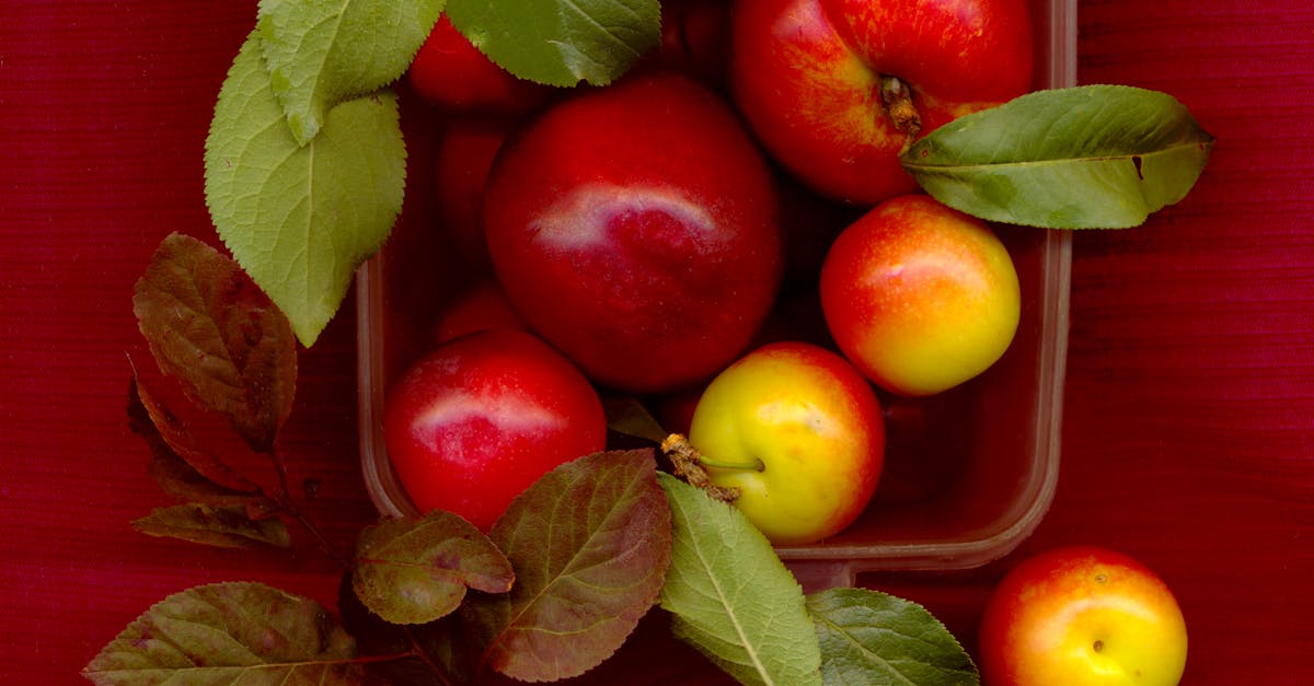 Free stock photo of food, fruit, peaches