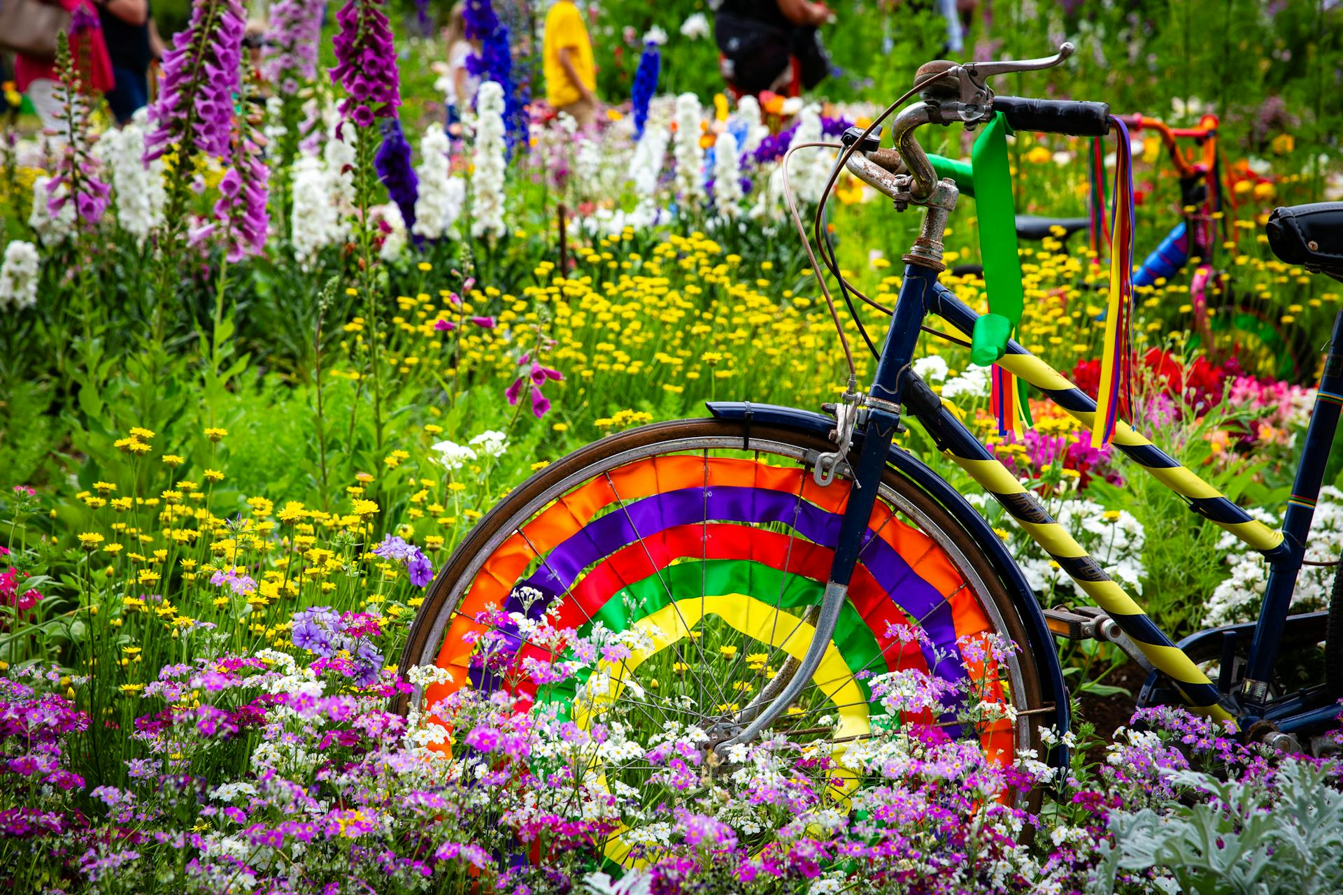 A vibrant bicycle wheel surrounded by blooming spring flowers in Toowoomba garden.