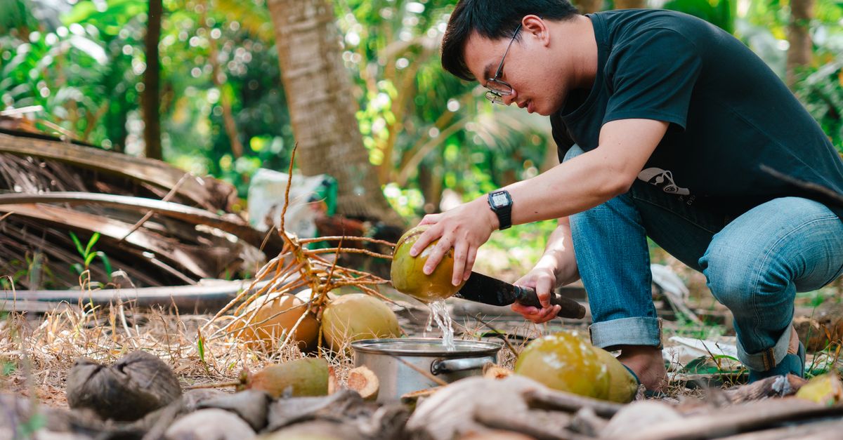 An adult man skillfully extracts coconut water in a lush tropical environment. - Evidence evidence guide for coconut-water sleep healthy adults randomized trial