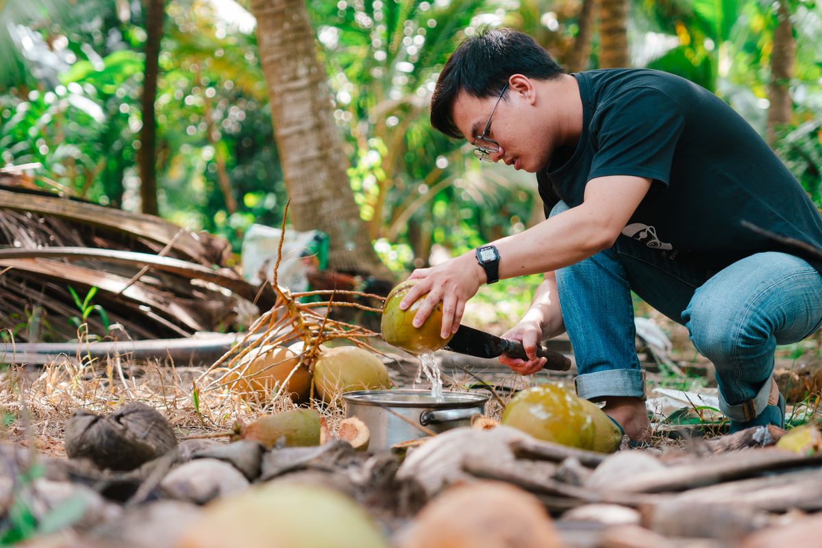 Pekerja membuka kelapa muda di kawasan ladang untuk bekalan pukal