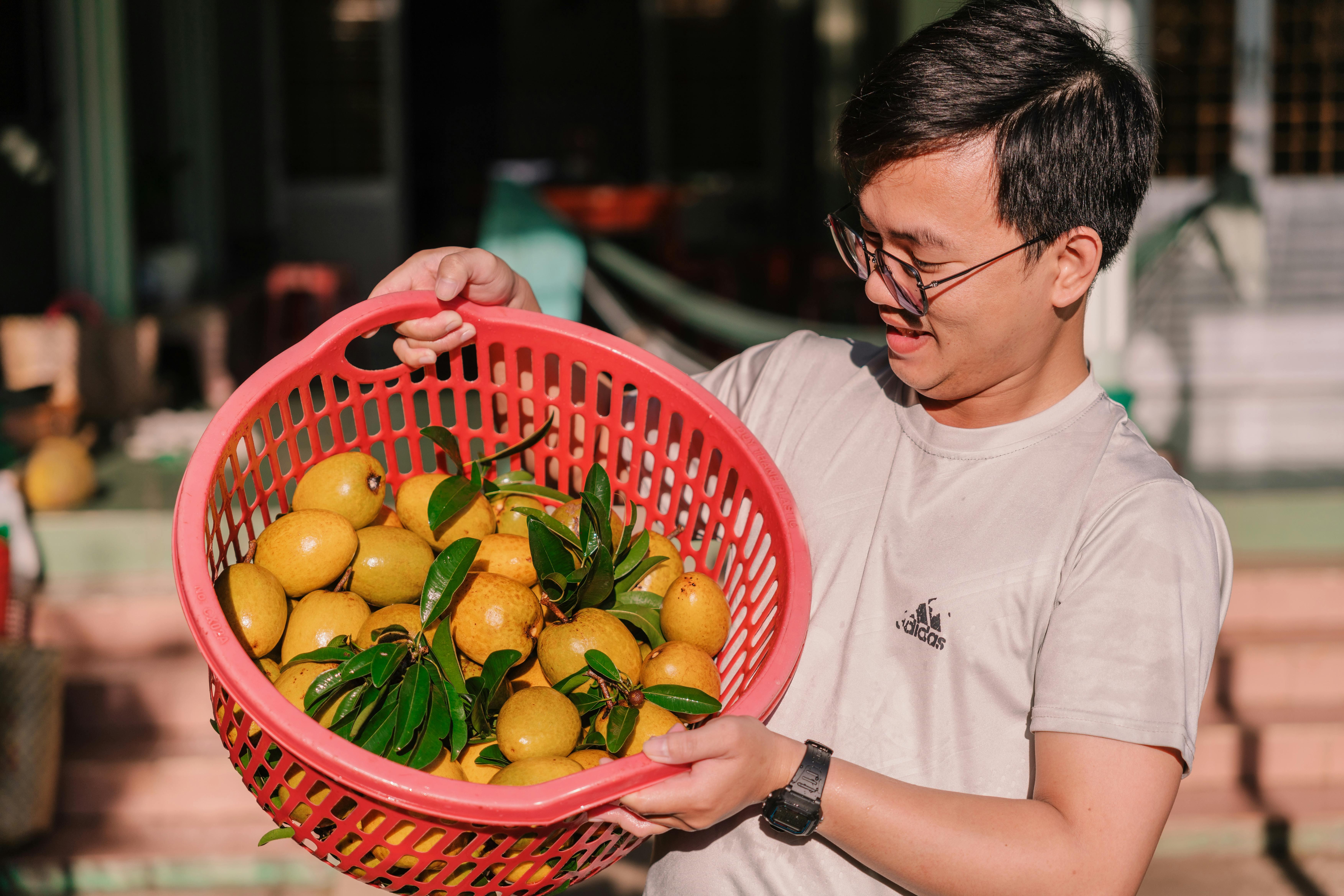 Asian man in glasses smiling at basket of ripe mangoes outdoors in daylight.