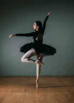 Graceful ballet dancer poses in a studio wearing a black costume, showcasing poise and elegance.