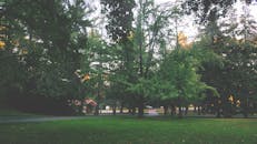 蒙特克莱尔郁郁葱葱的绿色公园，展现了新泽西州宁静的自然美景