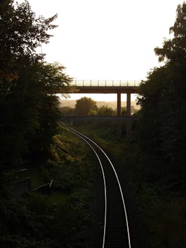 Peaceful railway scene at sunrise with a silhouetted overpass and lush greenery.
