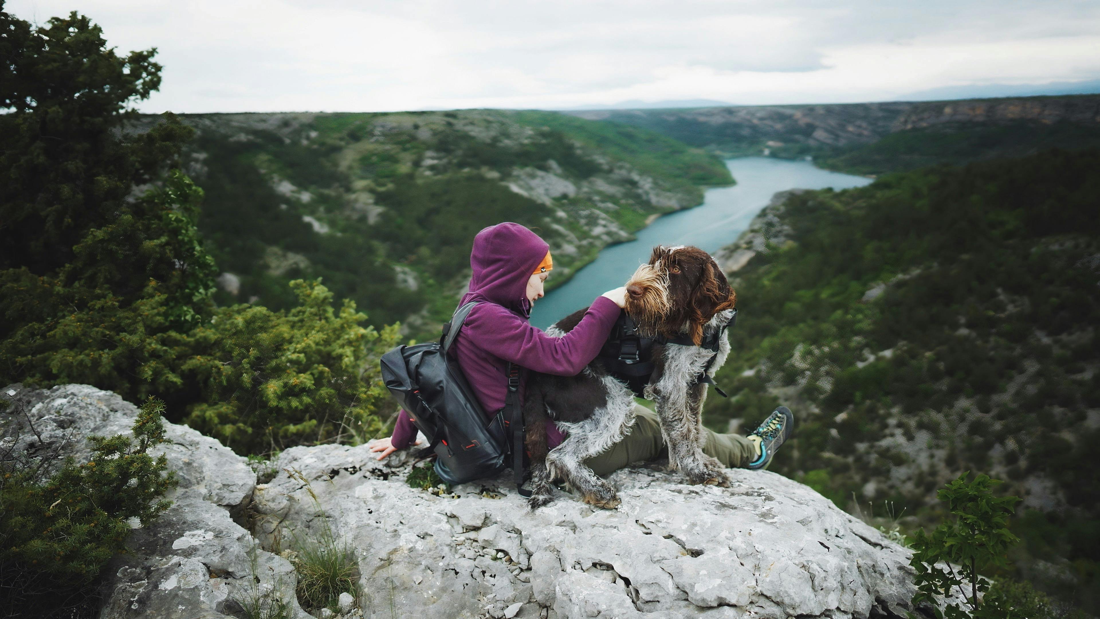 Dogs as Lifestyle Companions: What This Means for Brands &amp; Retailers — Photo by Andreas Schnabl on Pexels