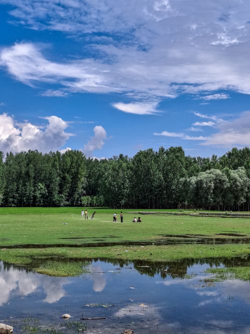 Free A tranquil outdoor scene with a lush green field, reflective water, and distant forest. Stock Photo