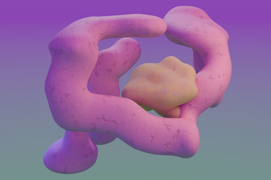 quick_bites, food_preparation, cuisine_art - Detail