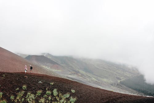 People Standing on Hill