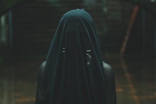 一位披着深色面纱的人，其迷人形象唤起神秘与时尚