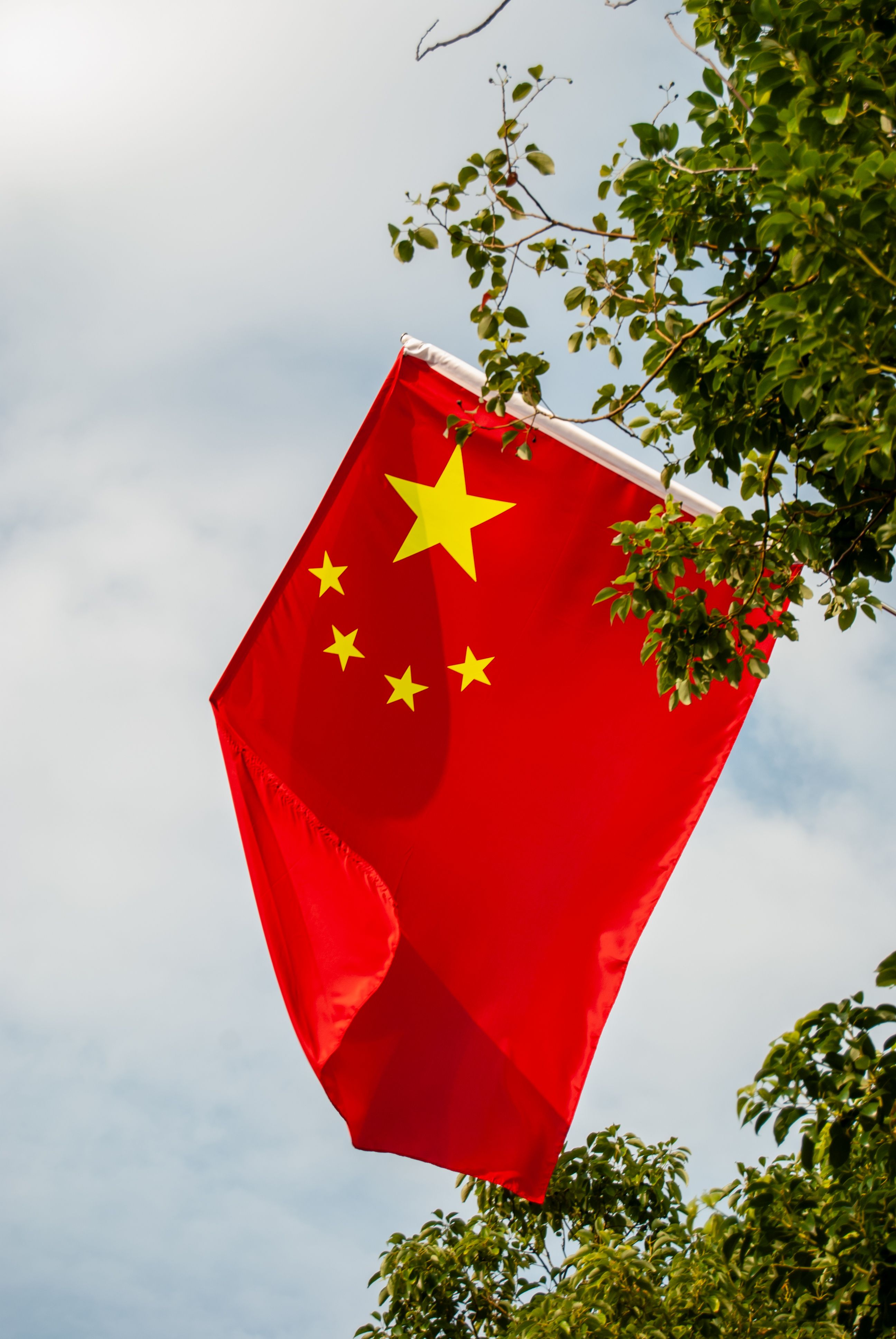 Chinese flag waving among green leaves under a clear autumn sky in Shenzhen, China.