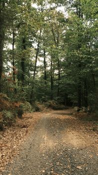 Image by Büşranur Aydın