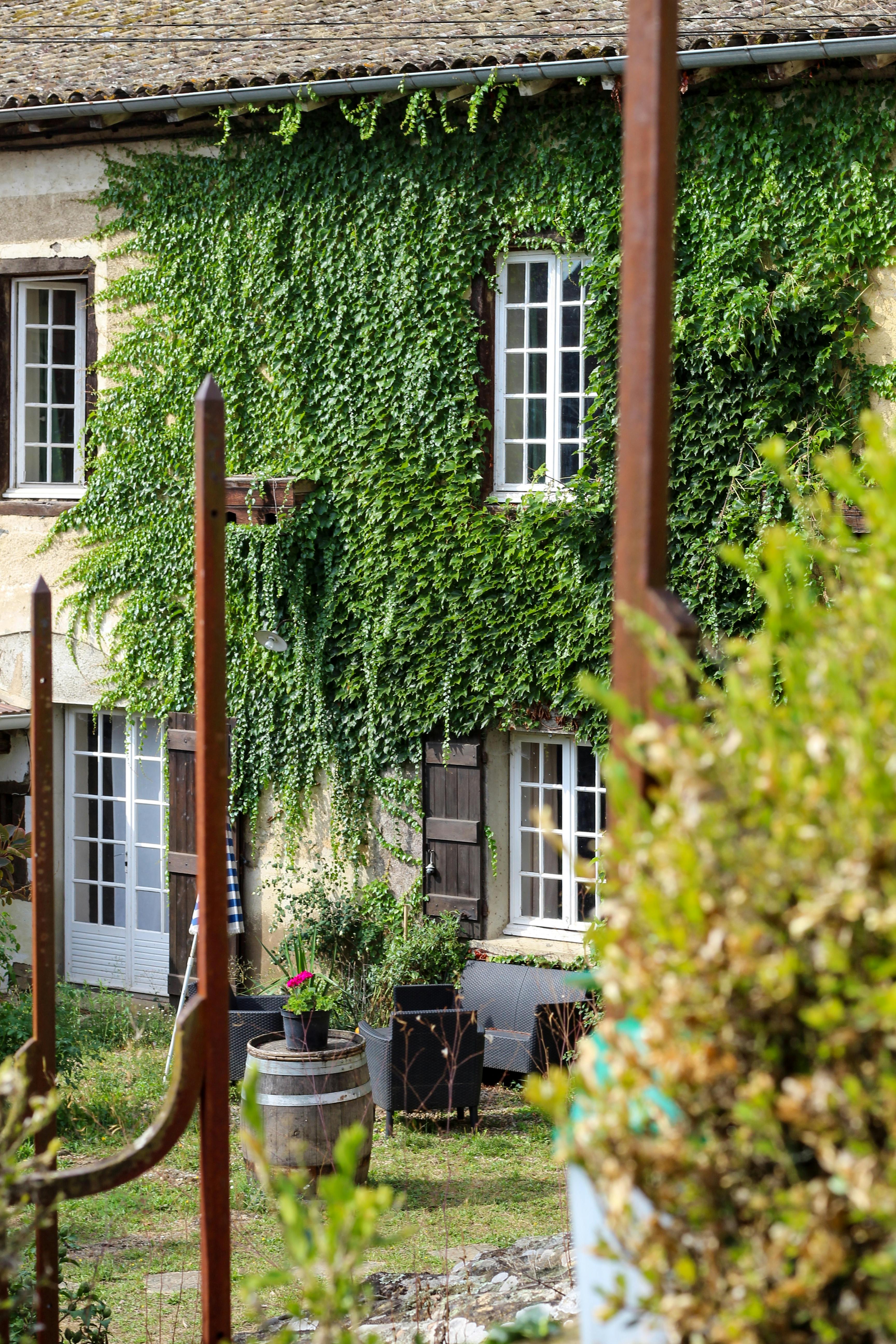 Gratuit Charmante Maison Au Milieu Des Vignes à Beaujeu France Photos