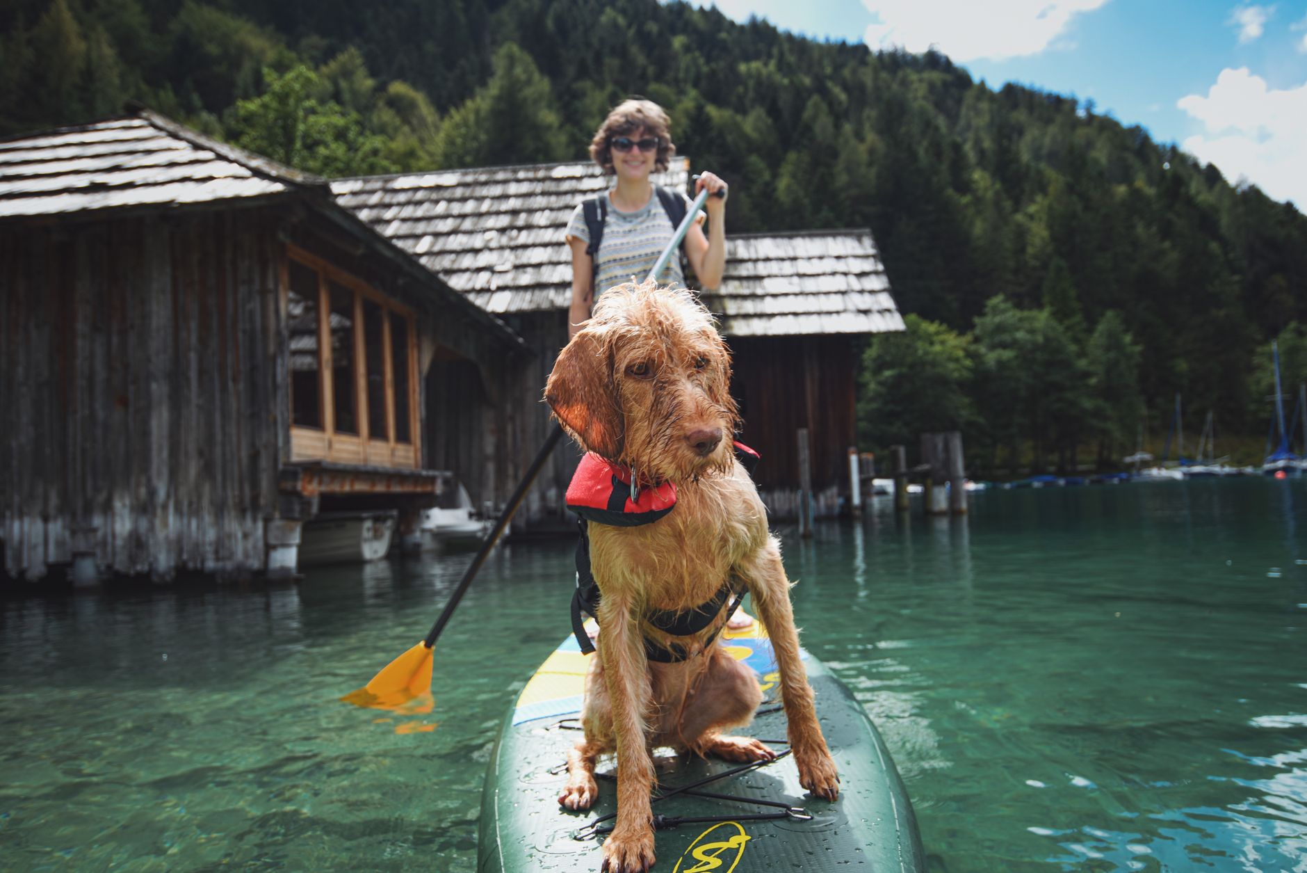 Best Dog Life Jackets (2026): 5 Top Picks for Boats and Swimming