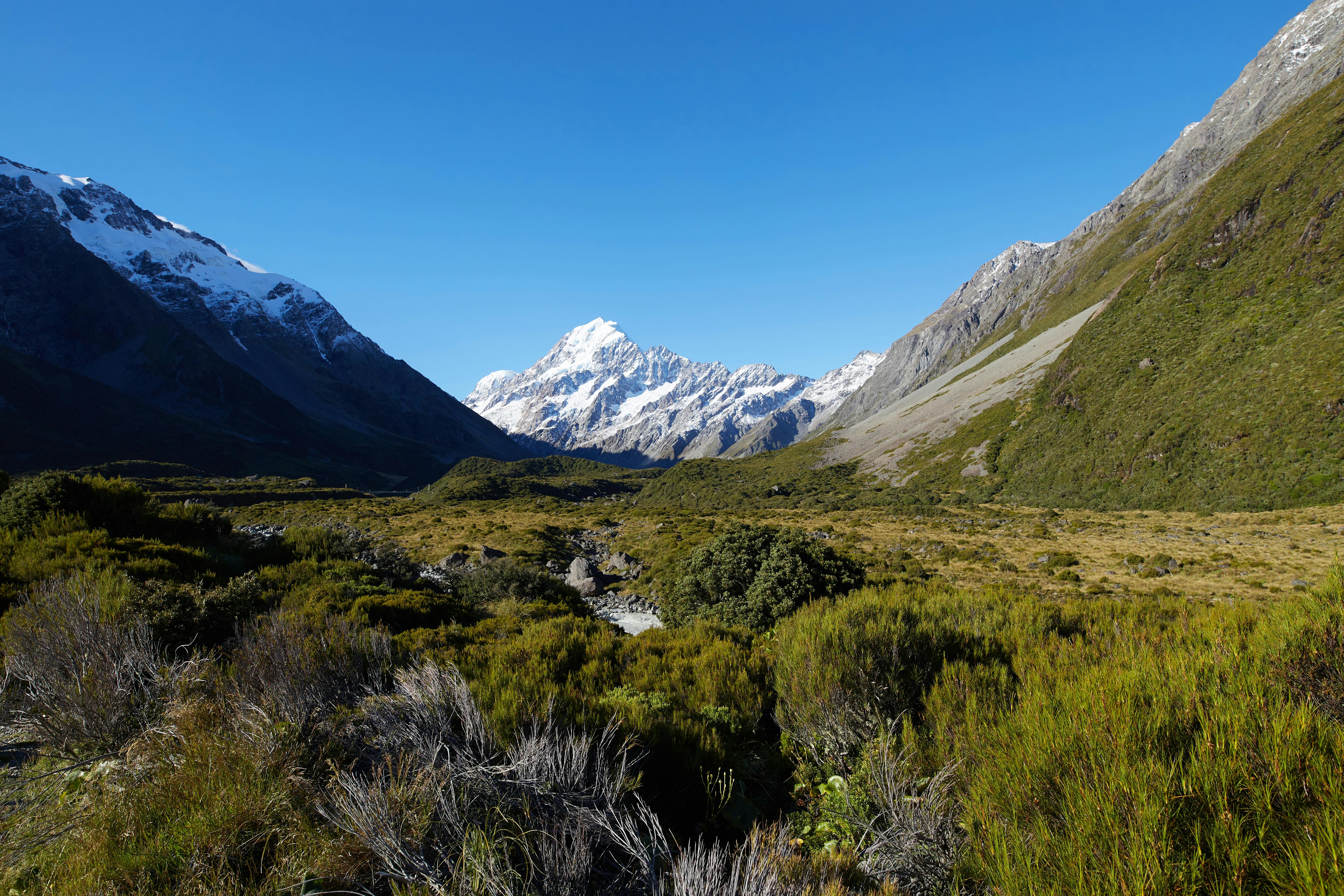 general travel new zealand — Photo by Alexander Heiß on Pexels