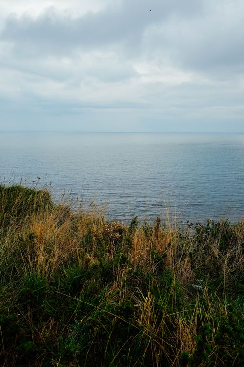 Free Calm seaside view from a grassy cliff under a cloudy sky, radiating peace. Stock Photo