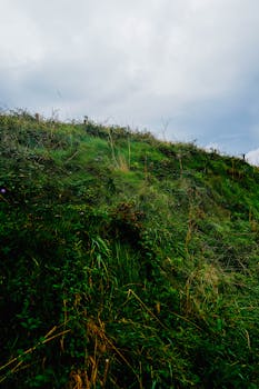A picturesque hillside covered in lush green grass under a cloudy sky.