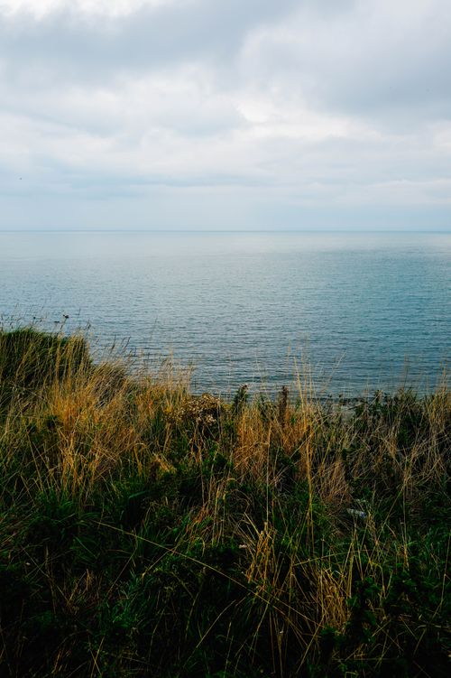 Free Tranquil coastal scene with lush grasses overlooking a calm sea under an overcast sky. Stock Photo