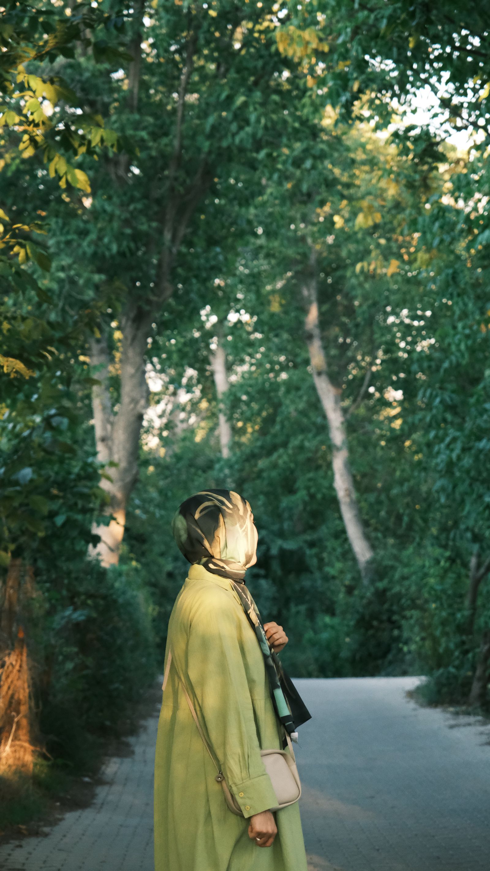 Person walking along a peaceful forest path