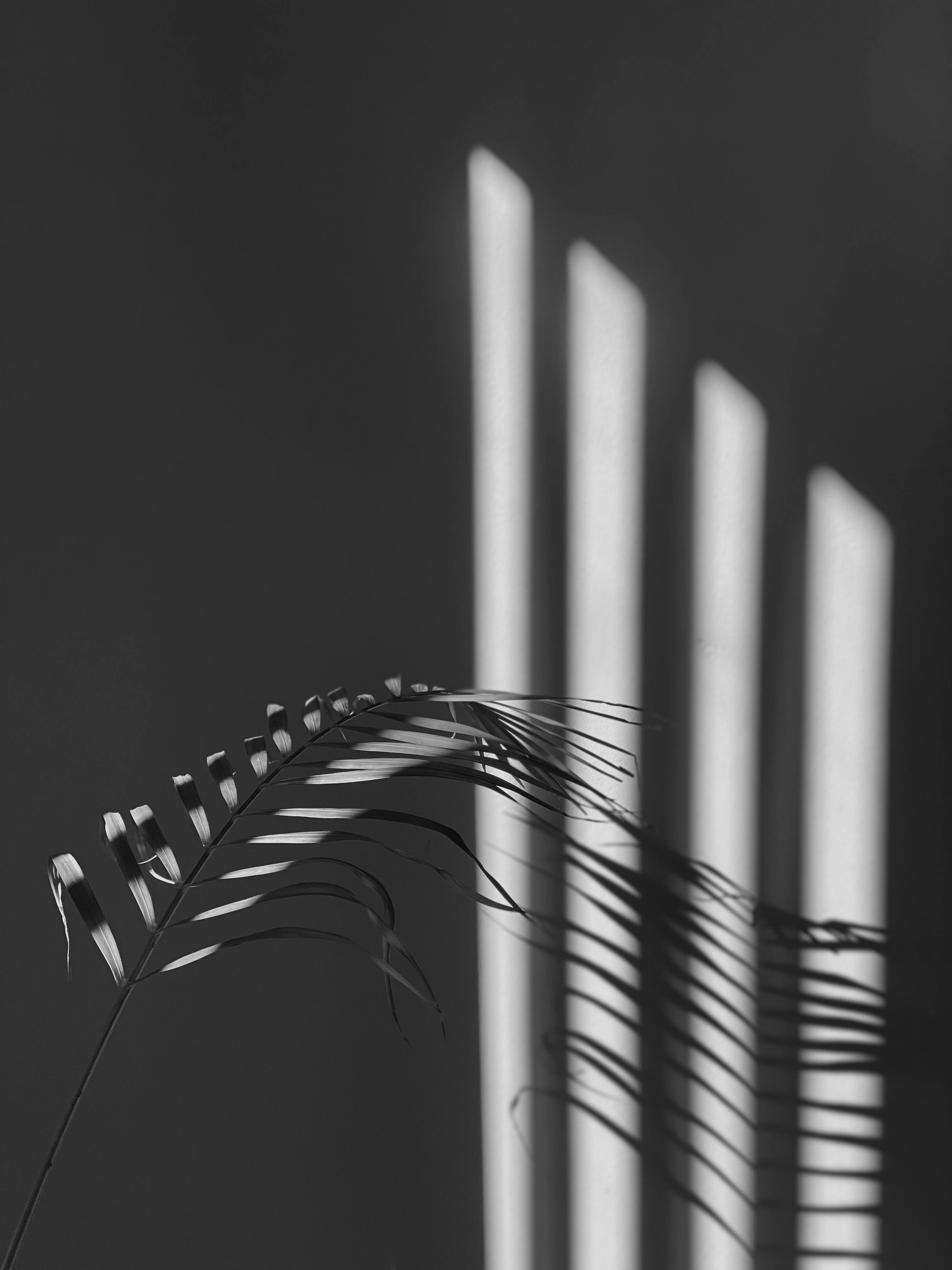 grátis Foto profissional grátis de abstrair, arte gráfica, arte visual Foto profissional