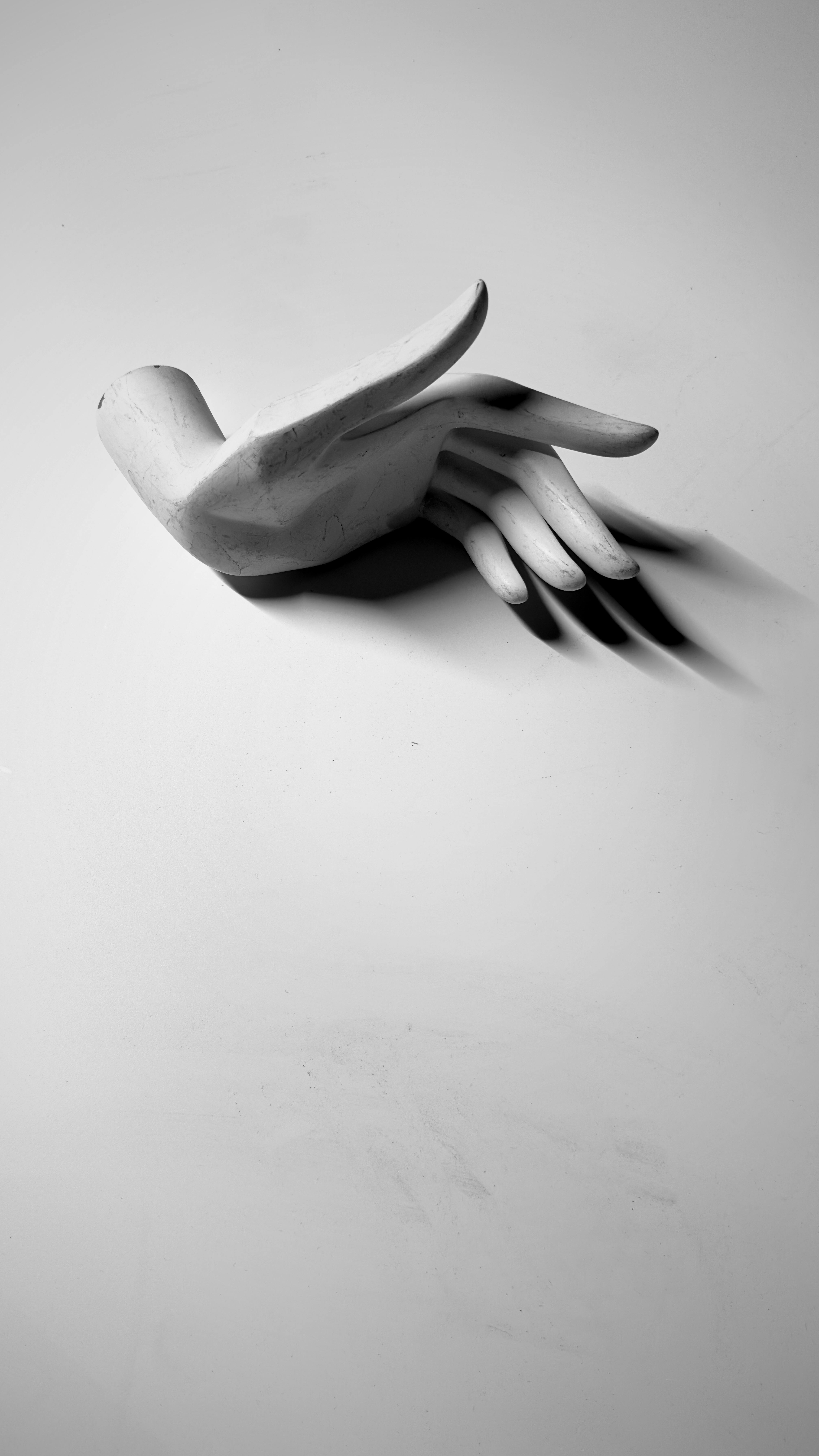 De franc Escultura De Mà De Maniquí En Blanc I Negre Minimalista Foto d'estoc