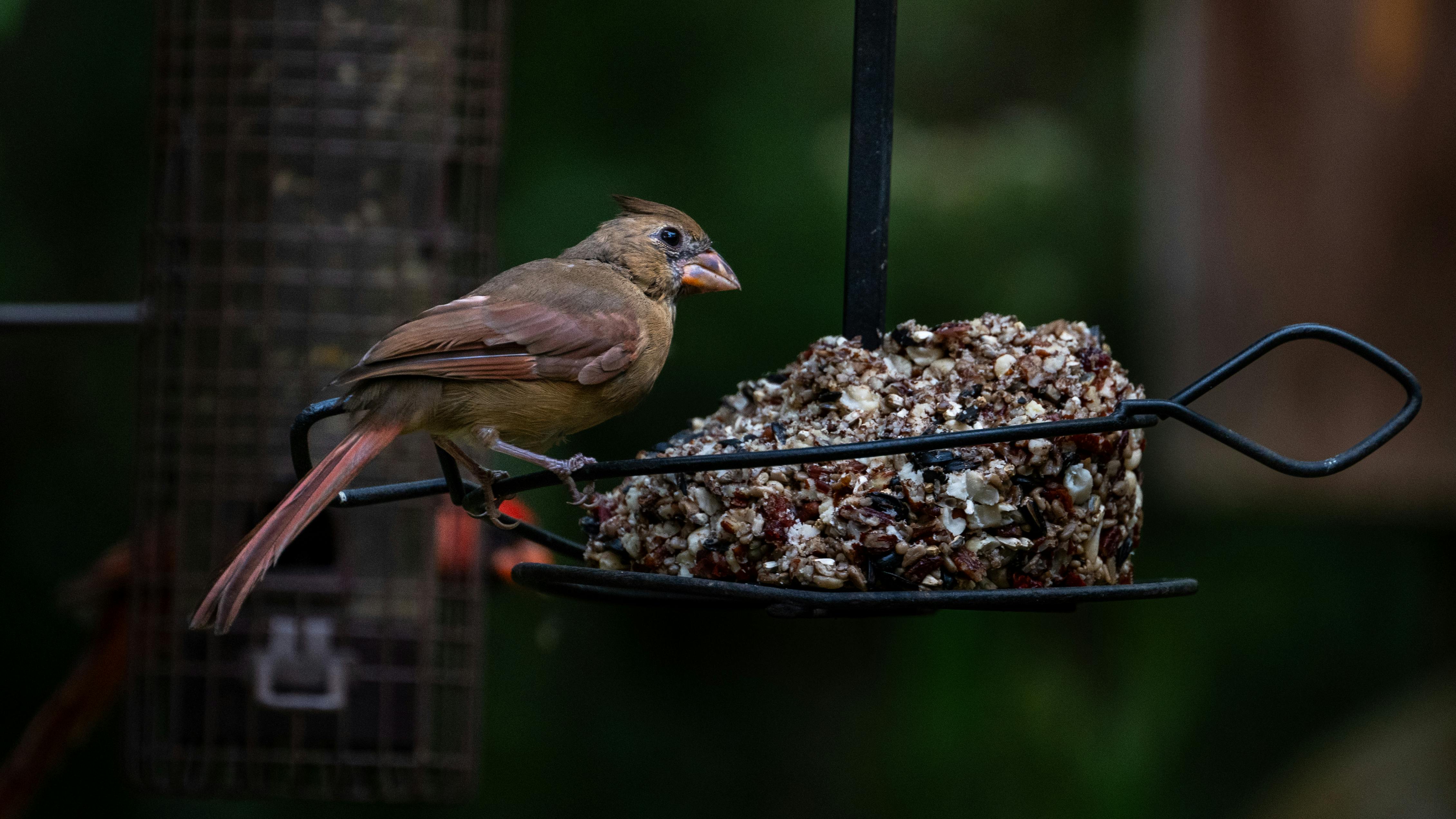 The Subtle Grace of Medical Watches for Men The Subtle Grace of Medical Watches for Men