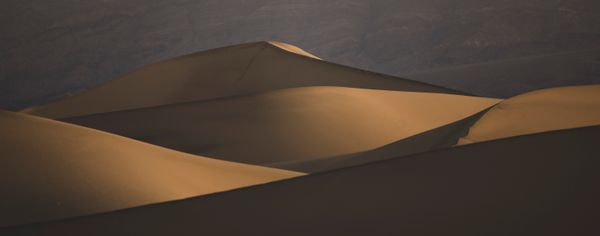 Sand dunes in soft light, photo by Stephen Leonardi on Pexels