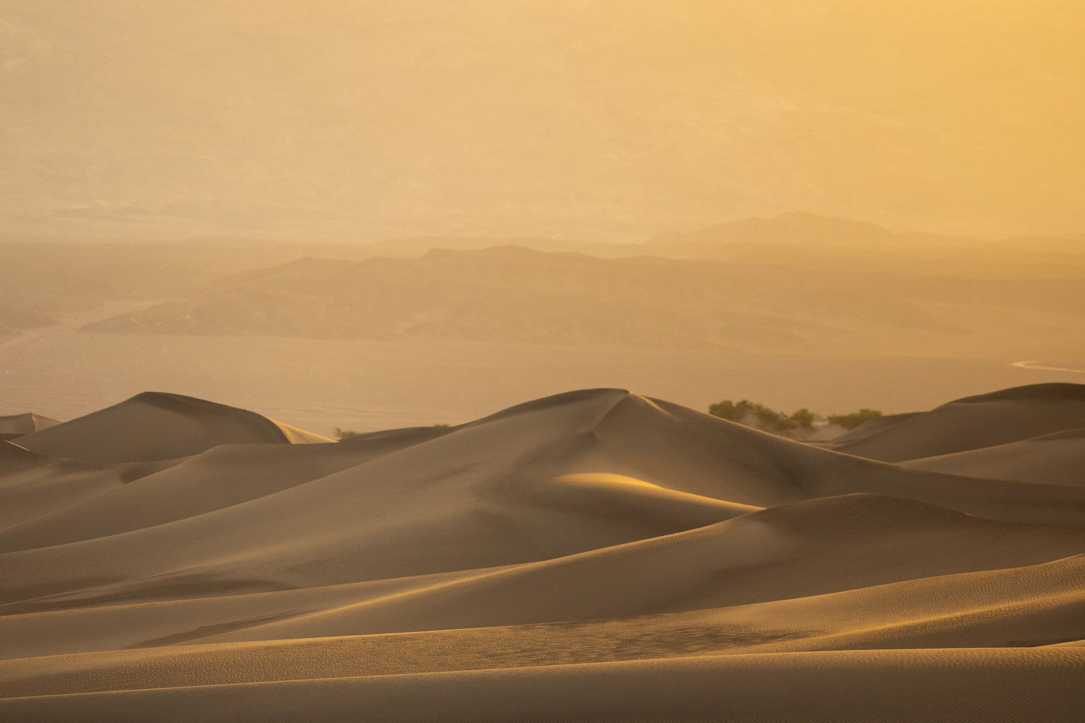 Golden Hour on Desert Sand Dunes · Free Stock Photo