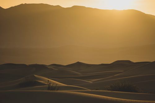 Free Capture the serene beauty of golden desert dunes under a warm sunset glow. Perfect for nature and travel enthusiasts. Stock Photo