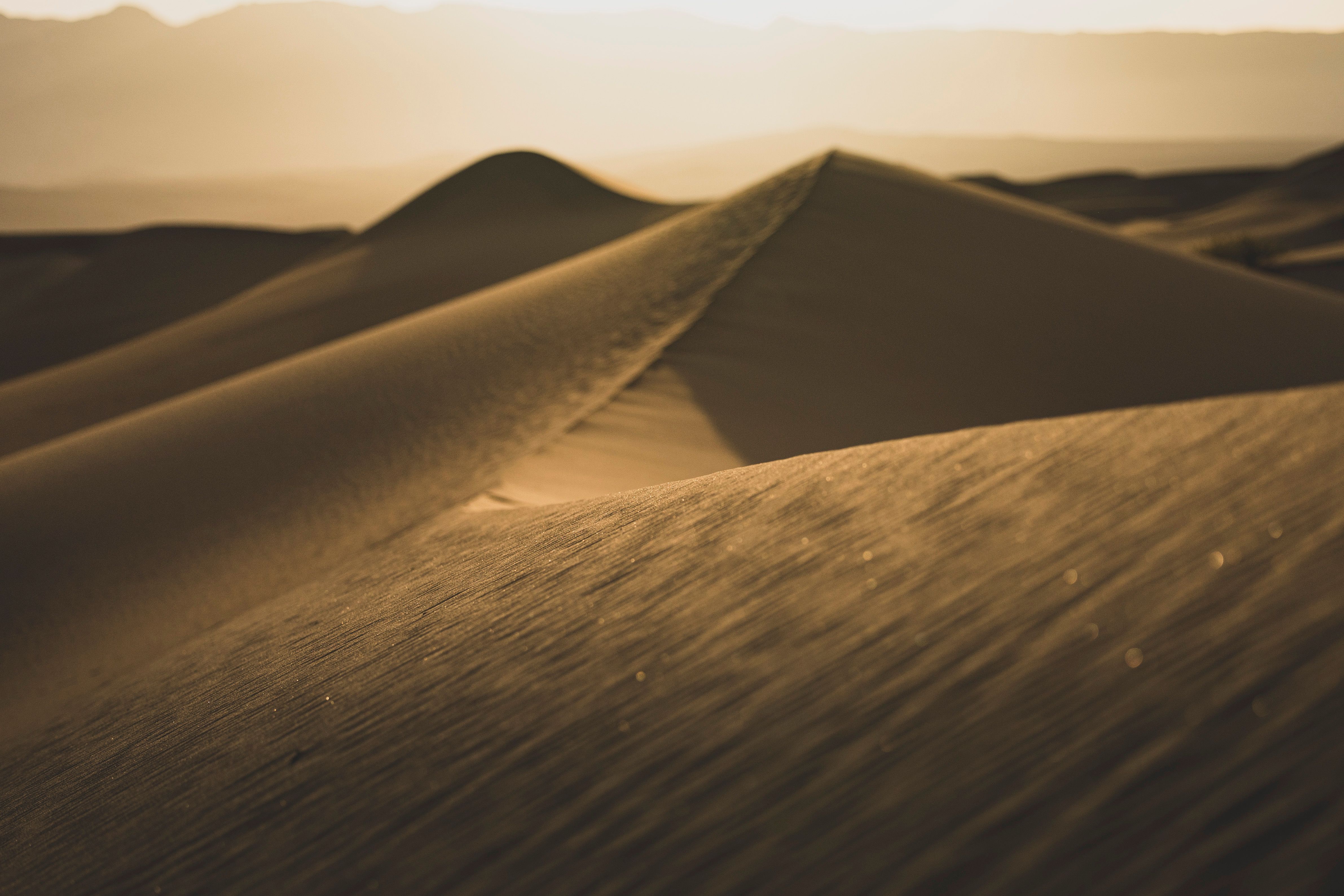 Golden Sand Dunes at Sunset in the Desert · Free Stock Photo