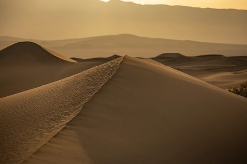 Free Golden sand dunes in a tranquil desert landscape at sunrise, capturing natural beauty. Stock Photo