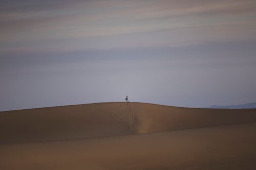 Free Silhouette of a solitary traveler on a sand dune at twilight, evoking a sense of serenity and adventure. Stock Photo