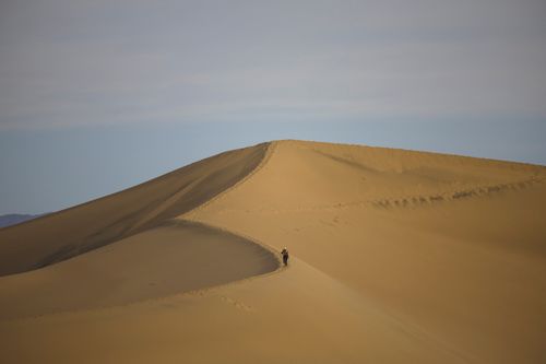 Free A solitary wanderer walking along the vast, sunlit sand dunes under a clear sky. Stock Photo