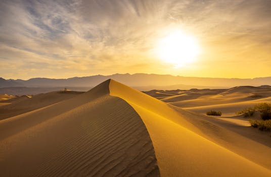 Mesmerizing view of golden sand dunes under the warm sunrise in a vast desert landscape.