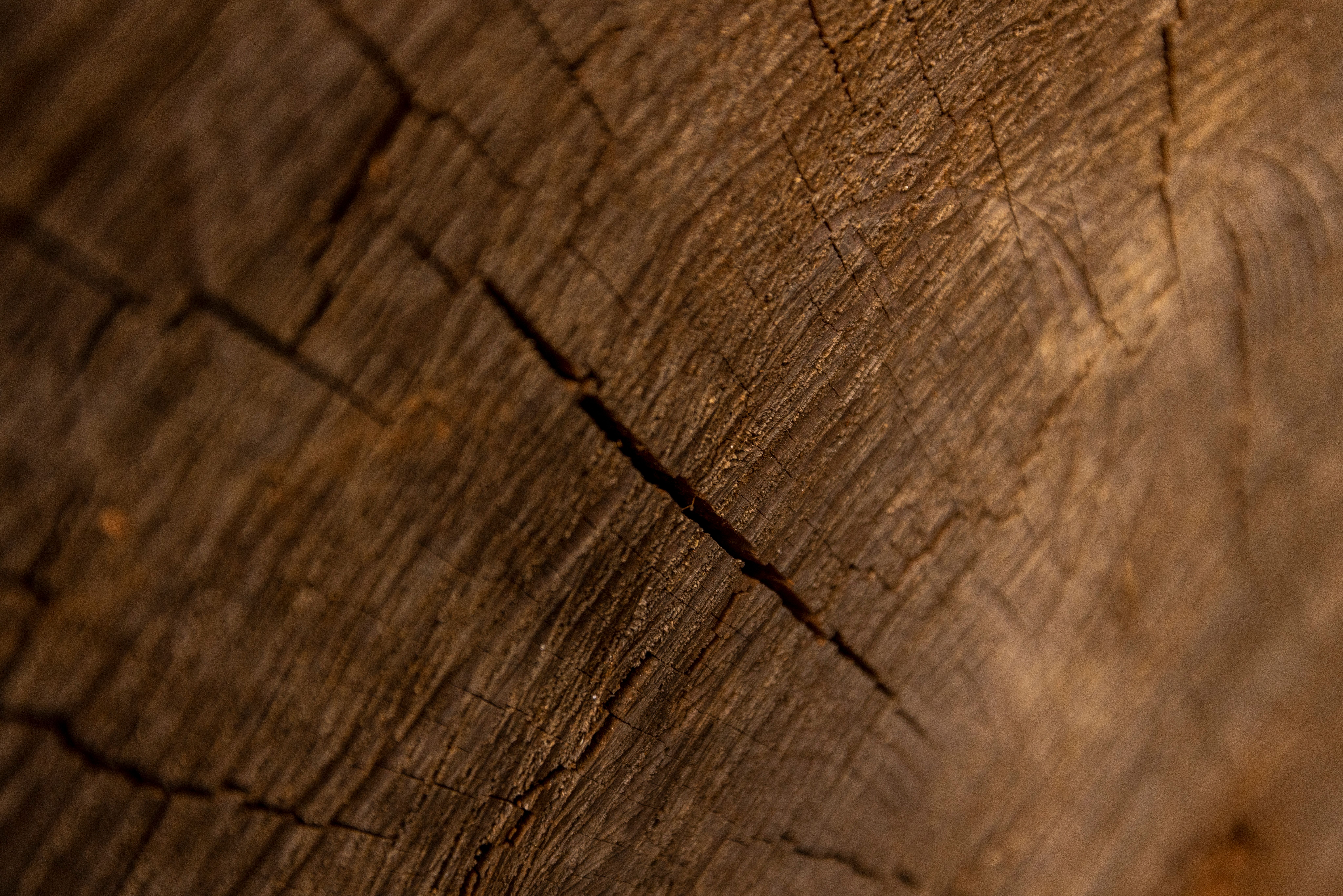 Holzstruktur und Werkstattumgebung