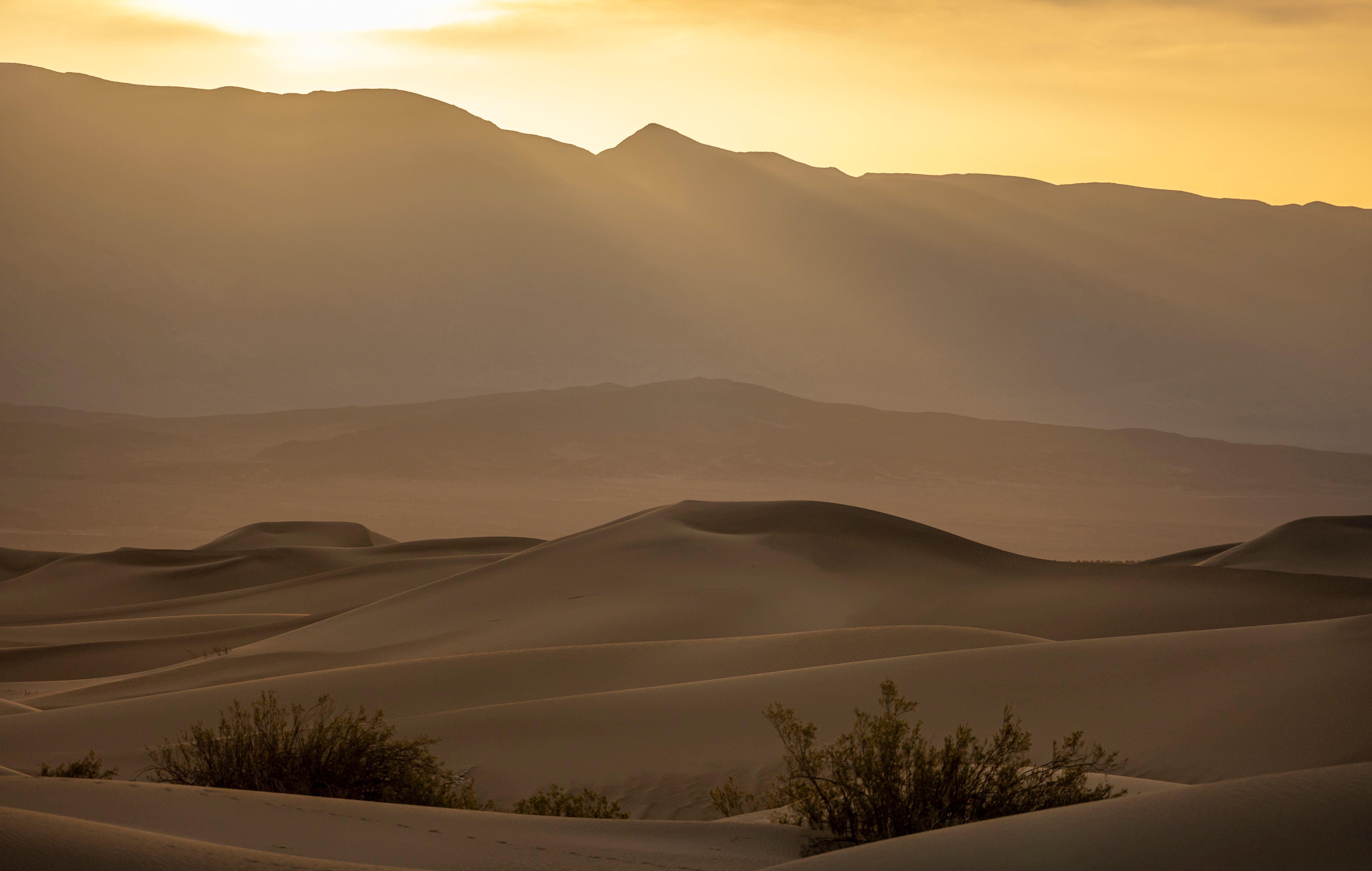 Sunrise over Sand Dunes in Desert Scene · Free Stock Photo