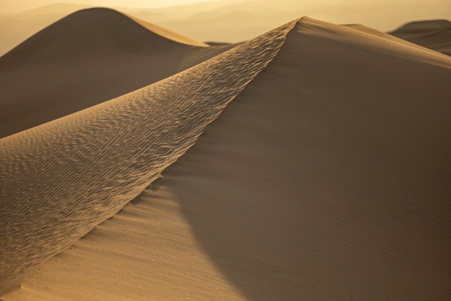 Sand dunes under golden sunset light. Photo by Stephen Leonardi on Pexels