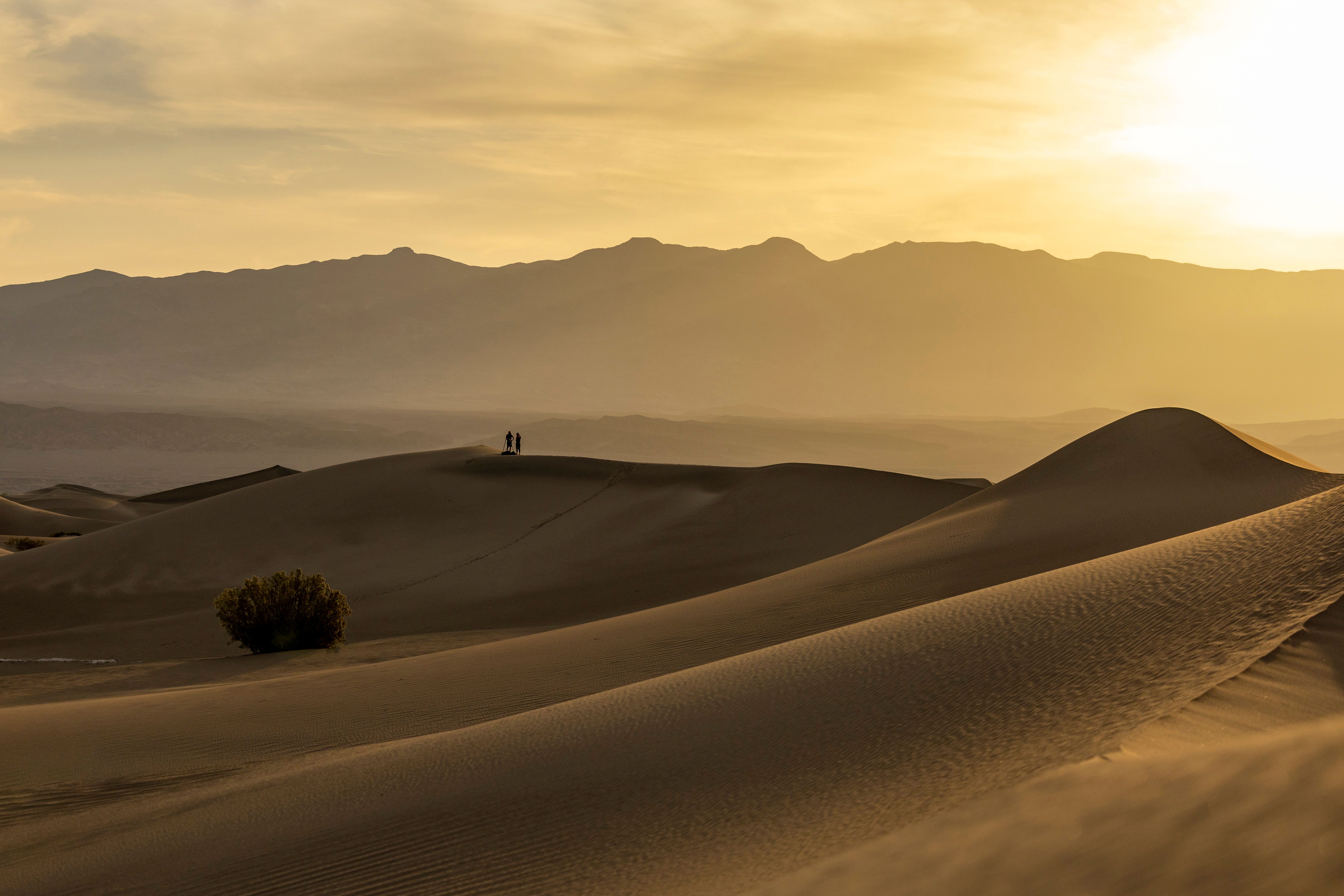 Dunas suaves con luz cálida de tarde