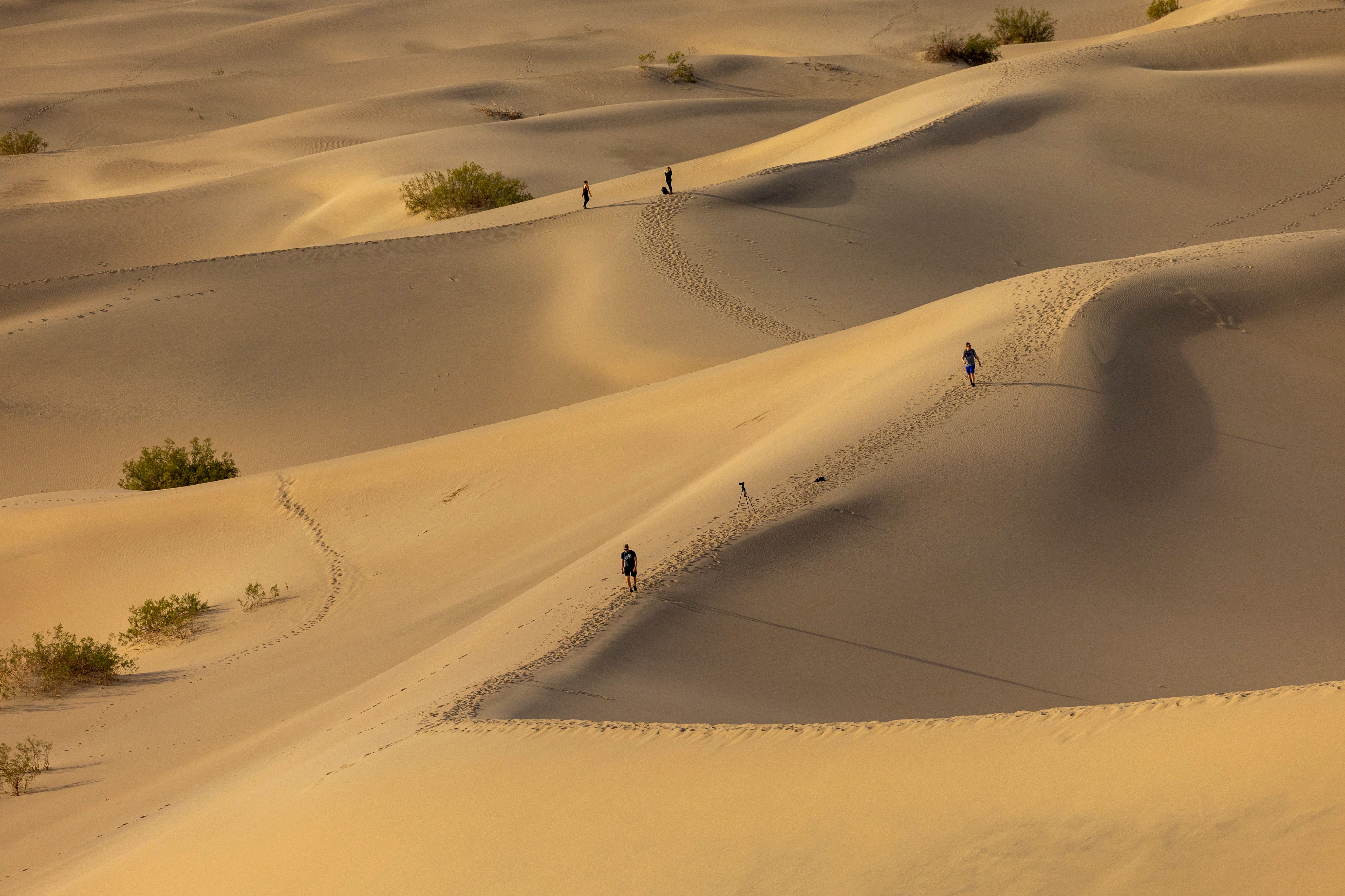 People Walking on Rolling Desert Sand Dunes · Free Stock Photo