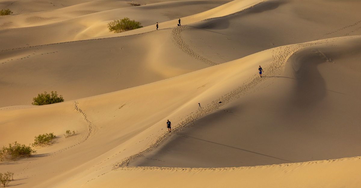 People Walking on Rolling Desert Sand Dunes · Free Stock Photo